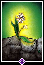 Zen Tarot Card