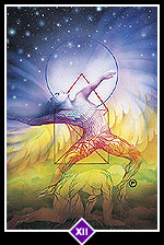 Zen Tarot Card